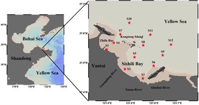 Species, Spatial-Temporal Distribution, and Contamination Assessment of Trace Metals in Typical Mariculture Area of North China